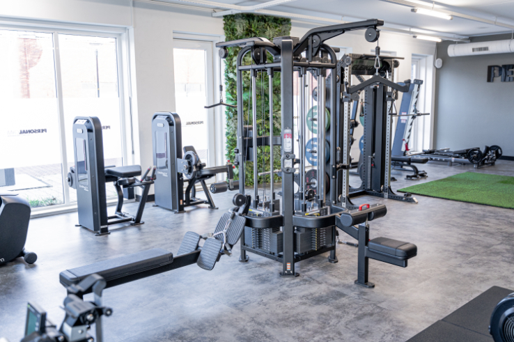Jesse Meijer Personal Training Gymruimte met plantenwand en krachtapparatuur
